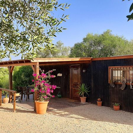 プラド・デル・レイ Preciosa Casa De Madera, Andaluciaヴィラ エクステリア 写真