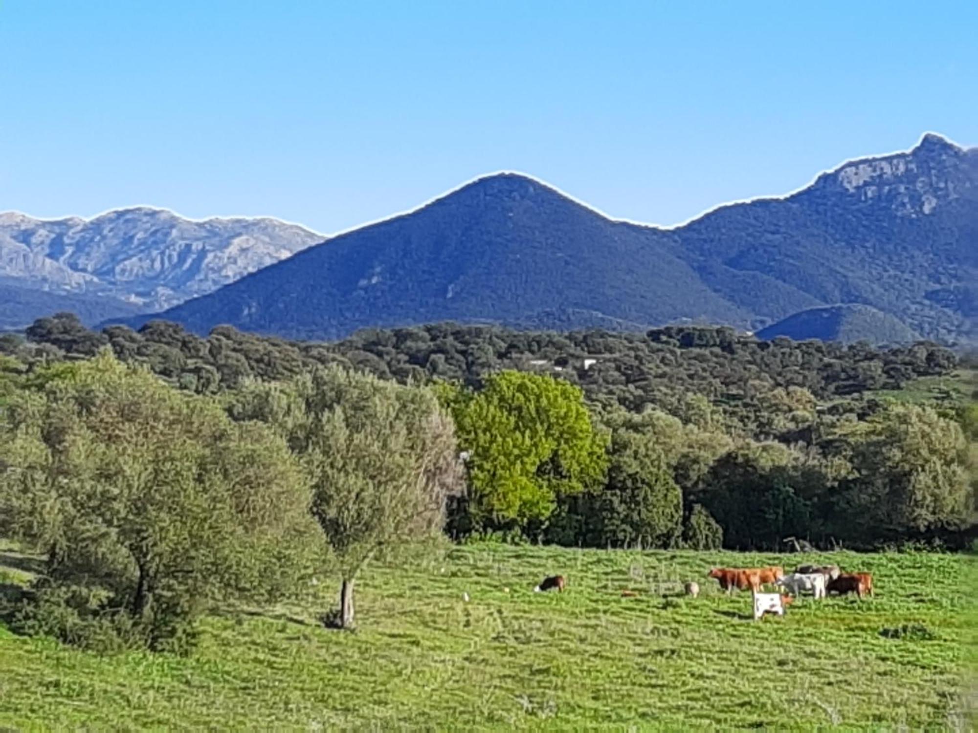 プラド・デル・レイ Preciosa Casa De Madera, Andaluciaヴィラ エクステリア 写真